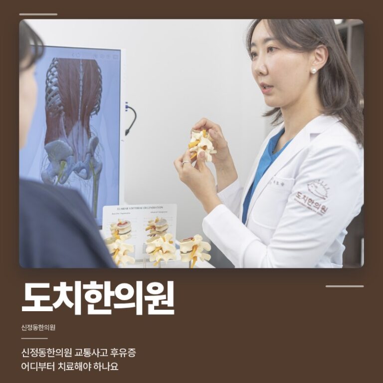 신정동한의원 교통사고 후유증 어디부터 치료해야 하나요